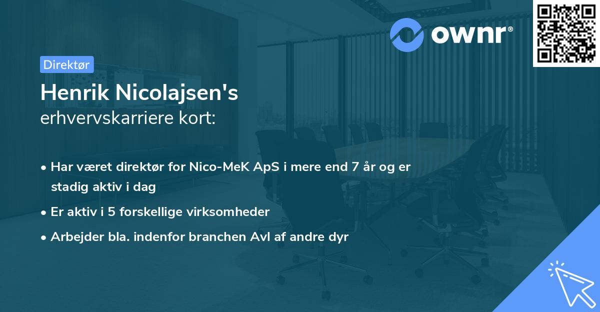 Henrik Nicolajsen's erhvervskarriere kort