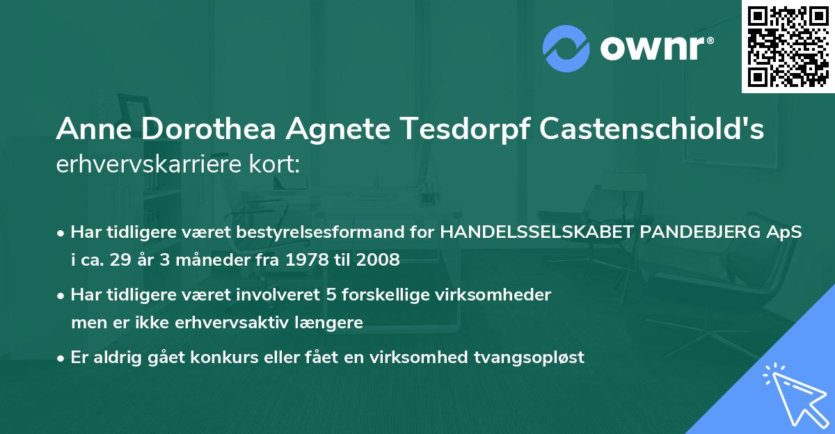 Anne Dorothea Agnete Tesdorpf Castenschiold's erhvervskarriere kort