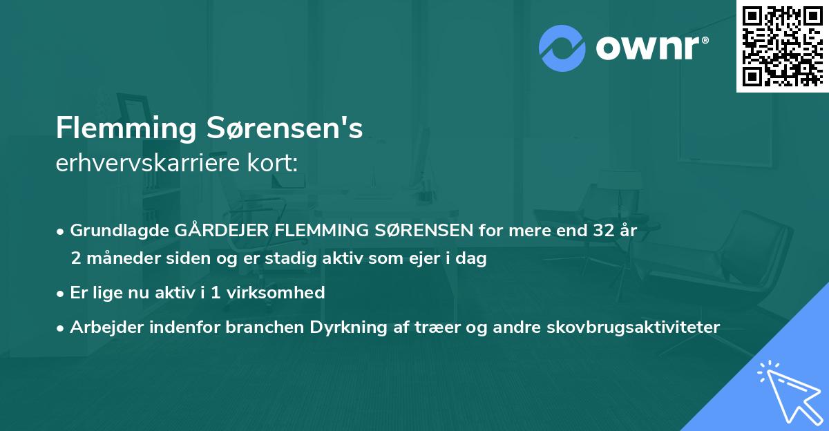 Flemming Sørensen's erhvervskarriere kort