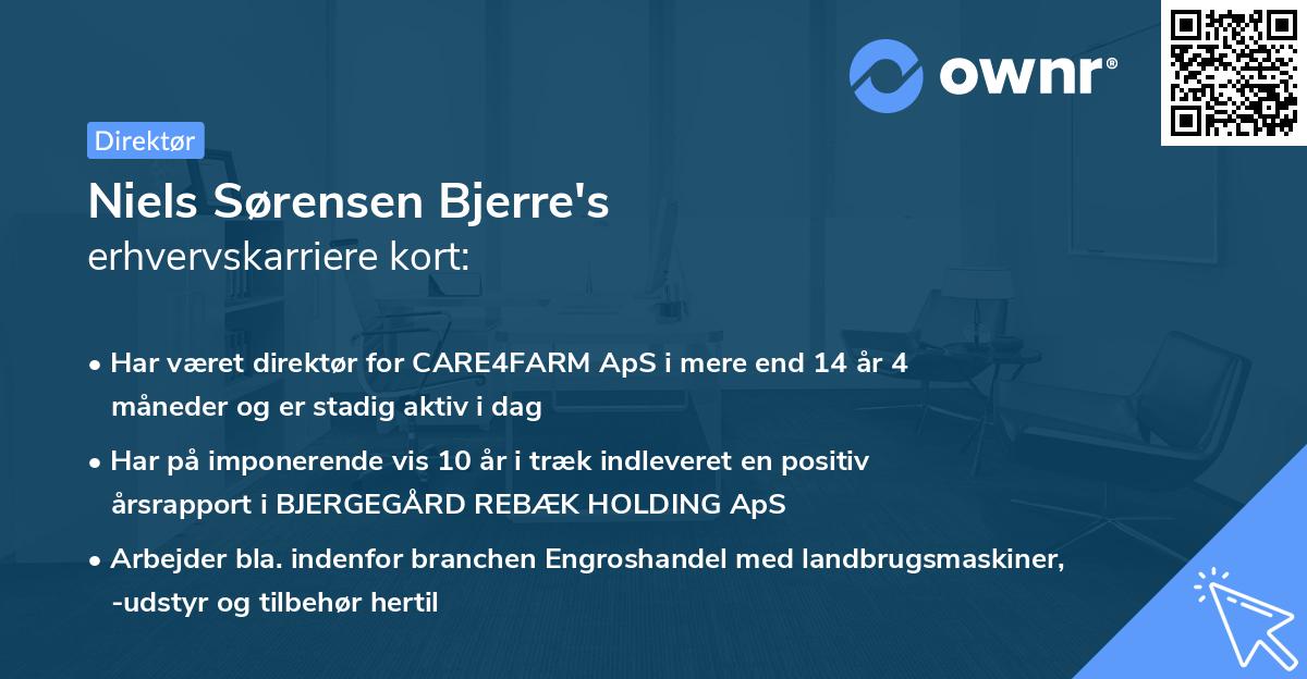 Niels Sørensen Bjerre's erhvervskarriere kort