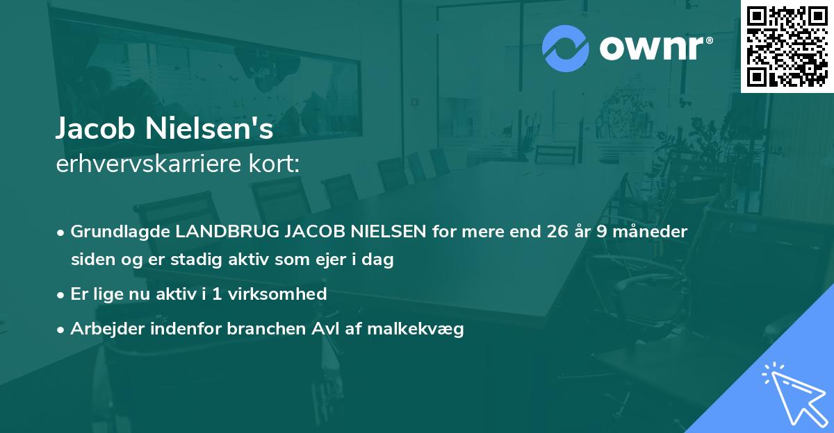 Jacob Nielsen's erhvervskarriere kort