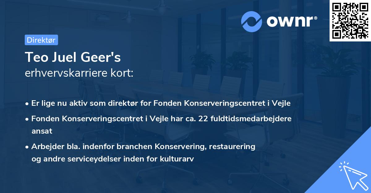 Teo Juel Geer's erhvervskarriere kort