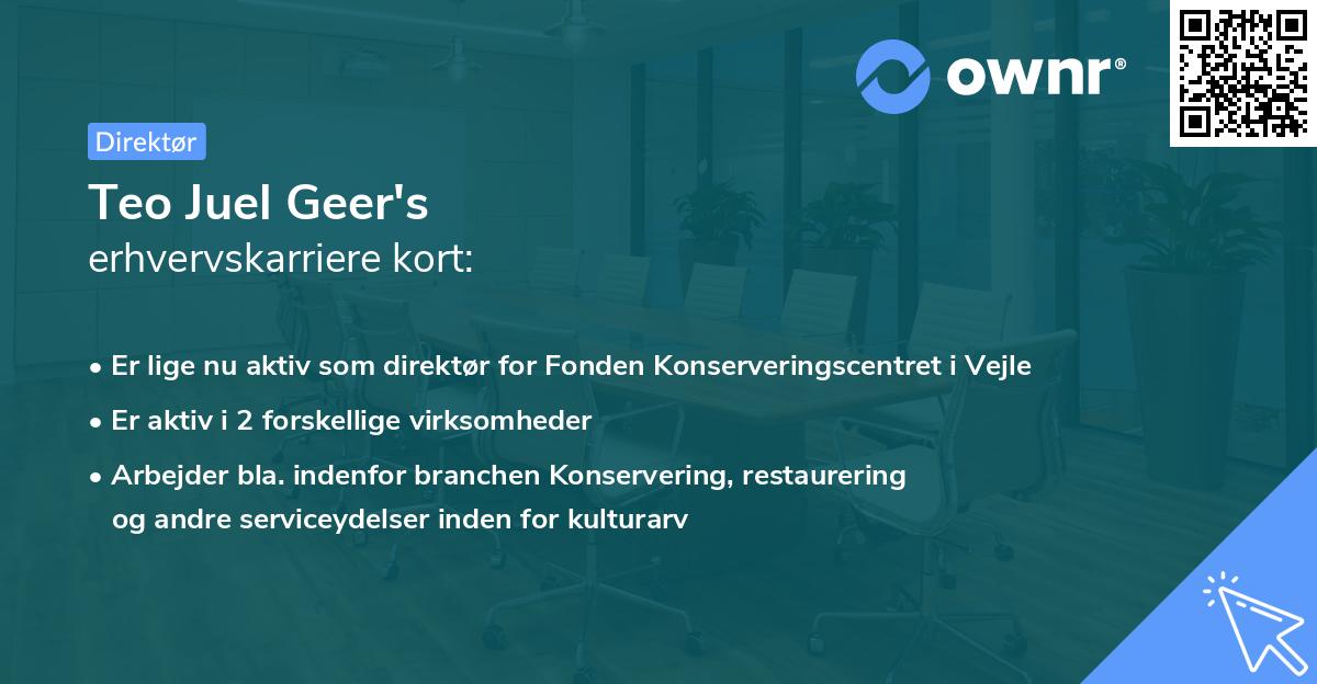 Teo Juel Geer's erhvervskarriere kort