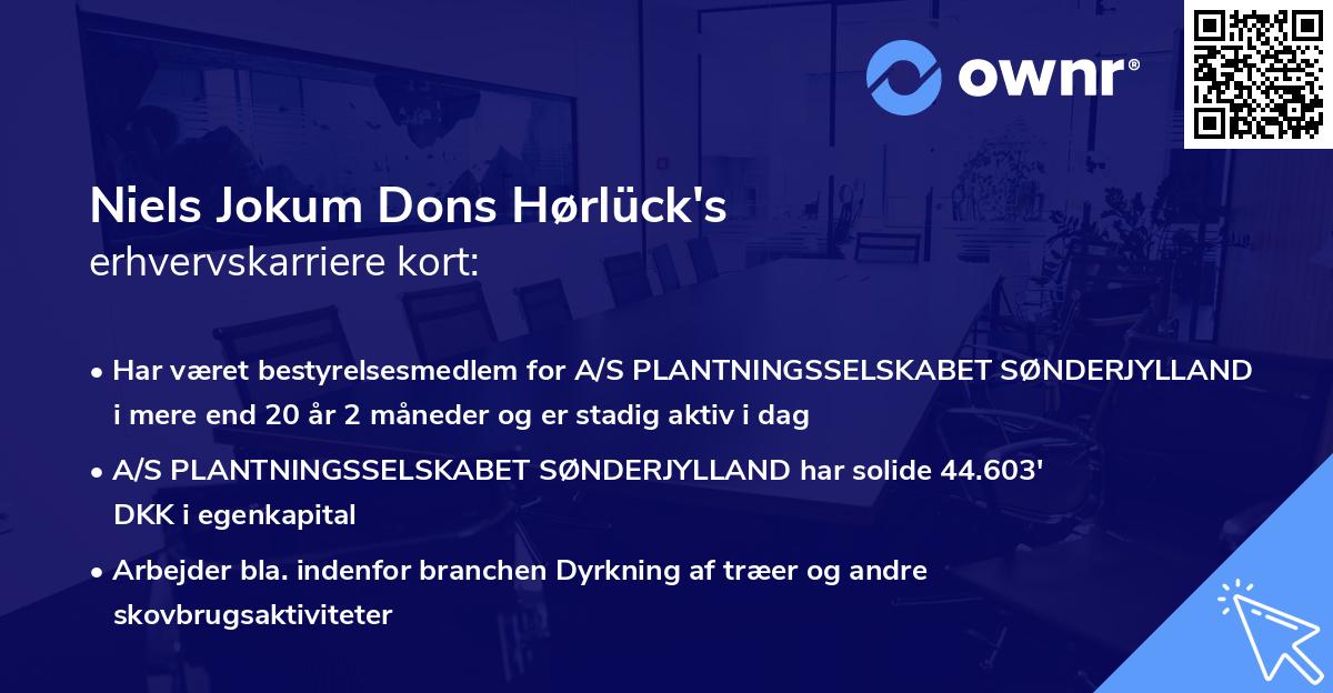 Niels Jokum Dons Hørlück's erhvervskarriere kort