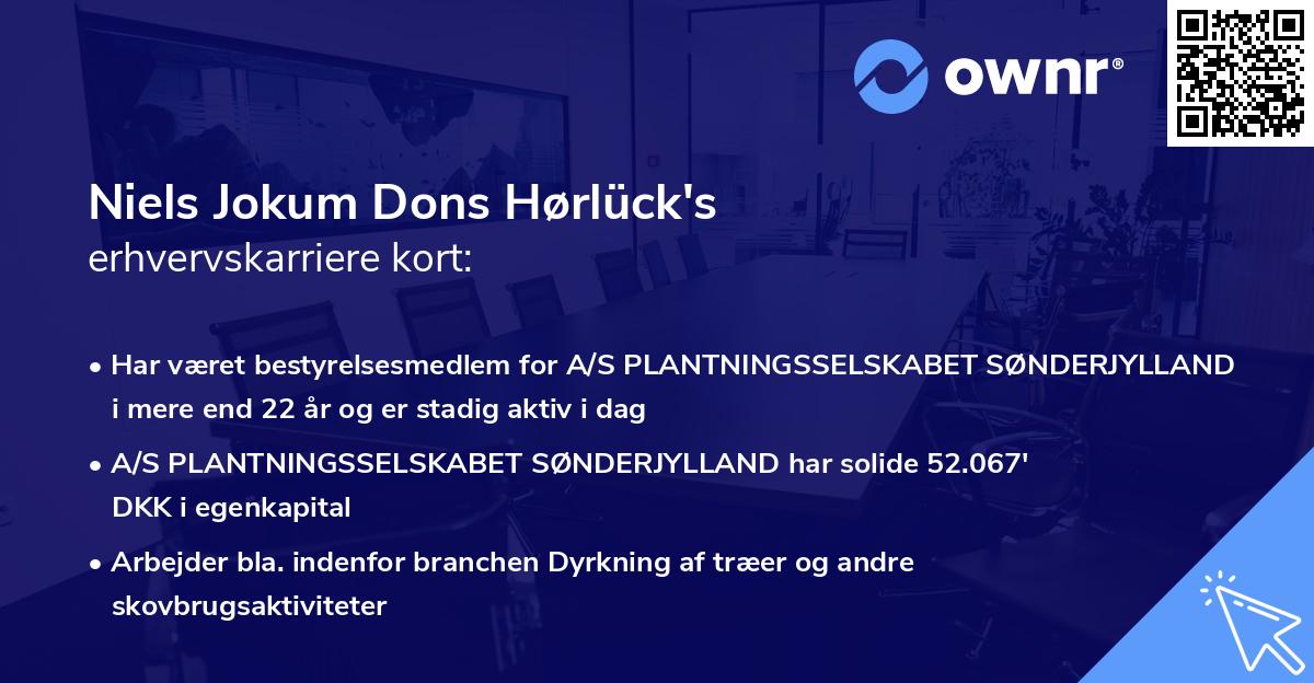 Niels Jokum Dons Hørlück's erhvervskarriere kort