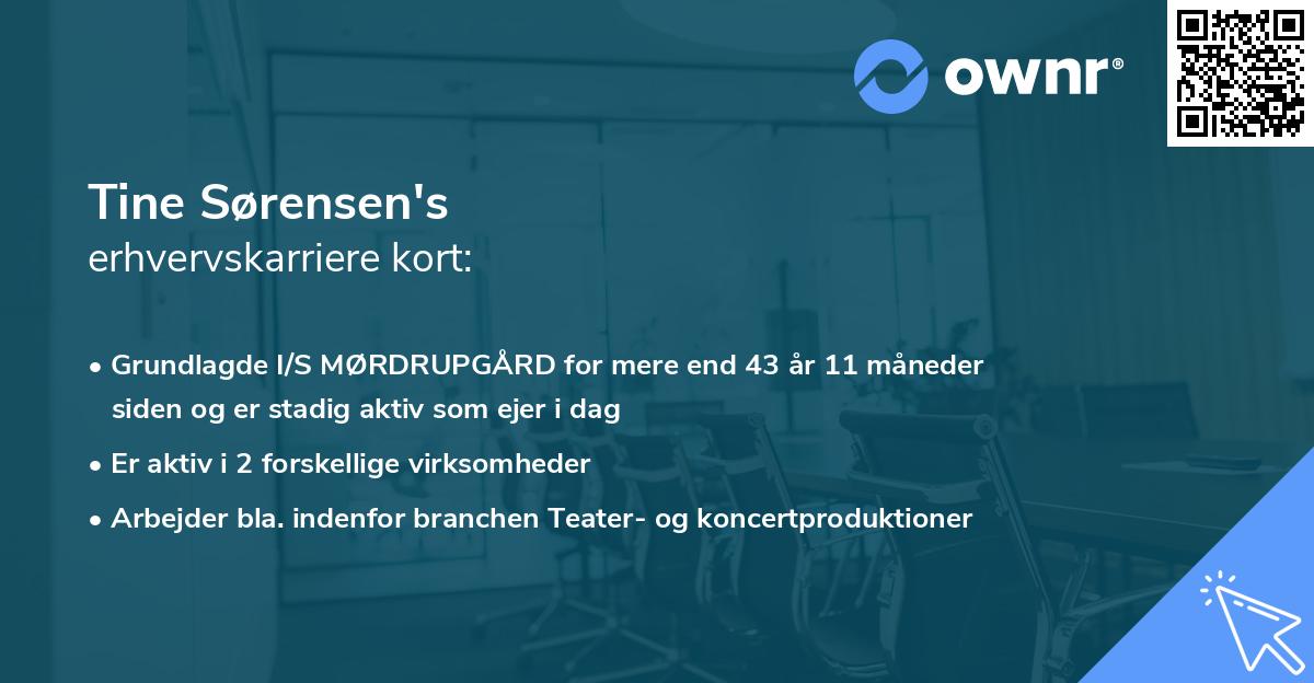 Tine Sørensen's erhvervskarriere kort