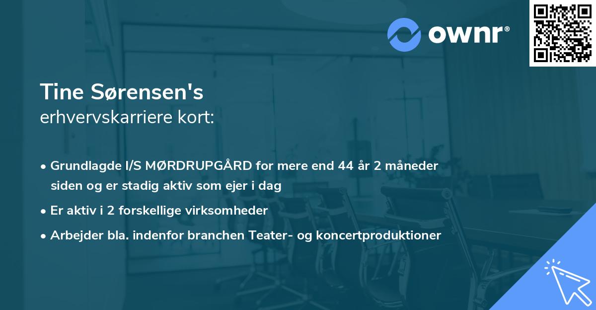 Tine Sørensen's erhvervskarriere kort