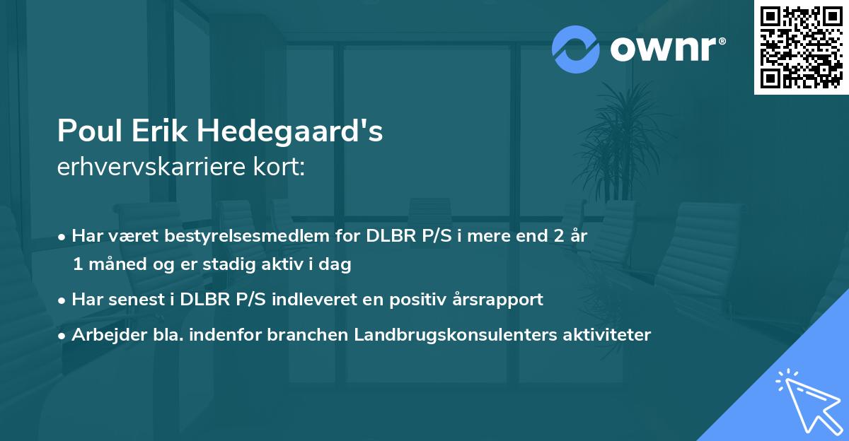 Poul Erik Hedegaard's erhvervskarriere kort