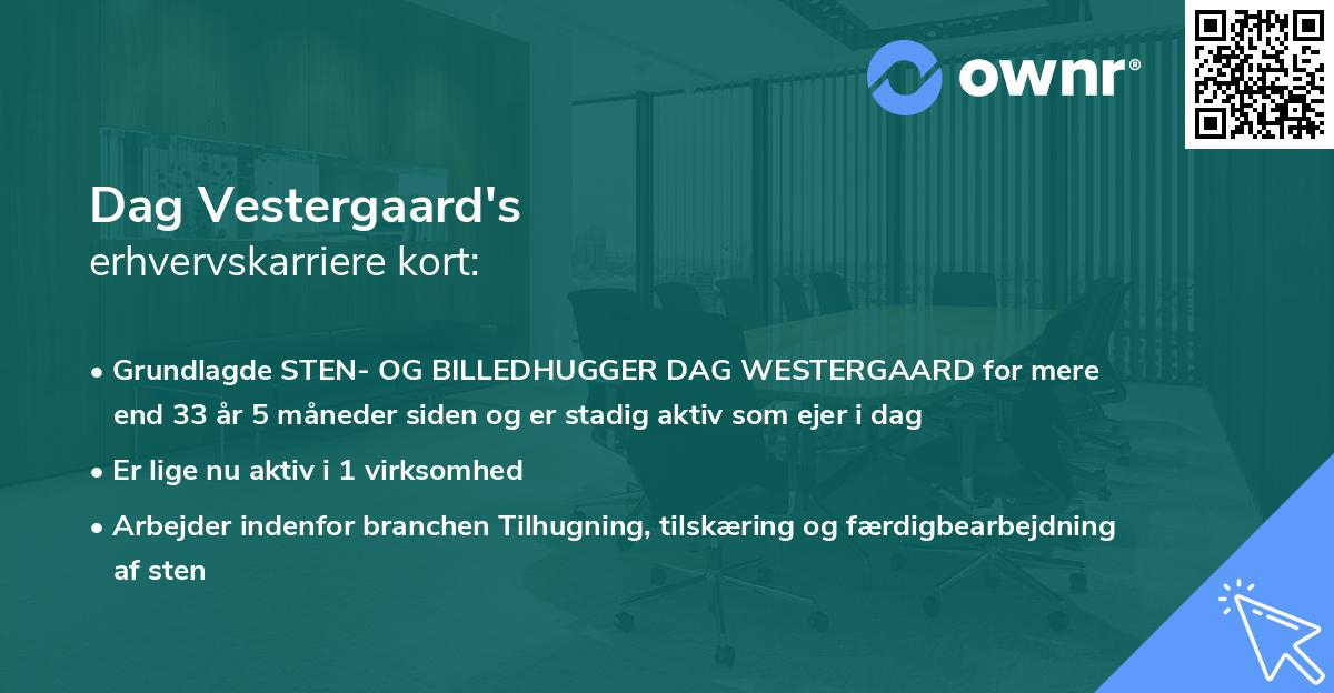 Dag Vestergaard's erhvervskarriere kort