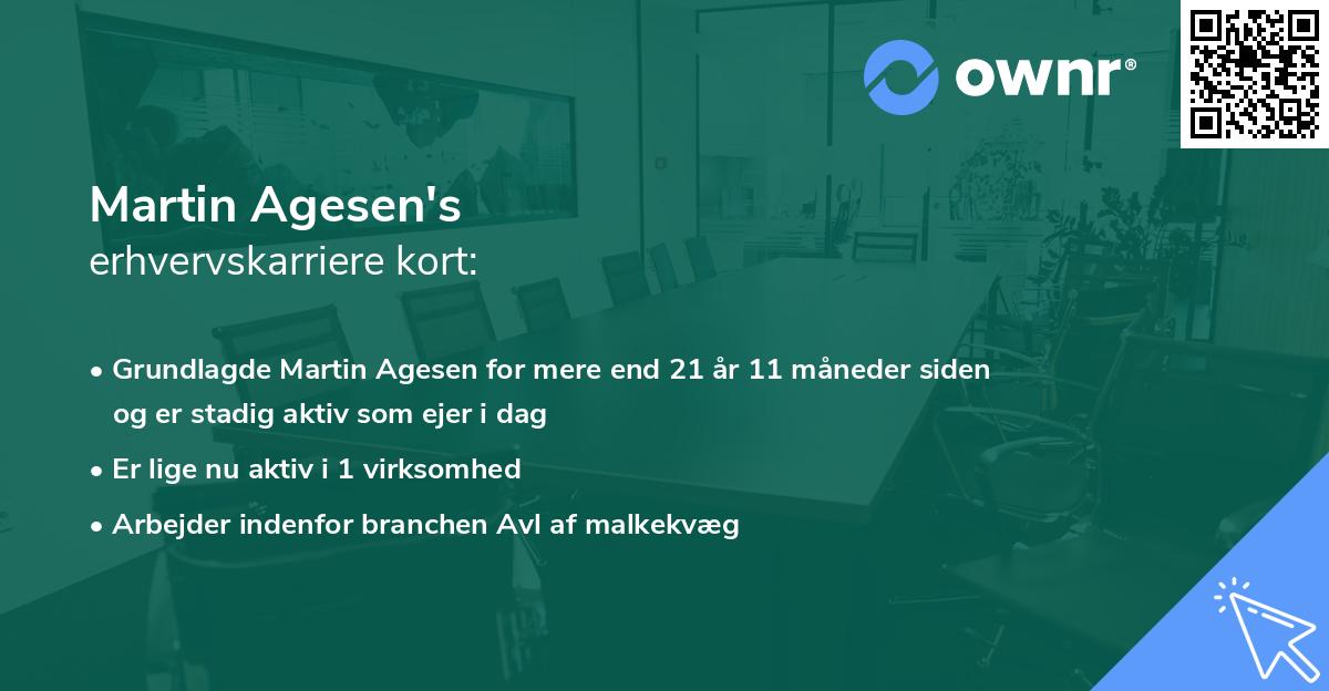 Martin Agesen's erhvervskarriere kort