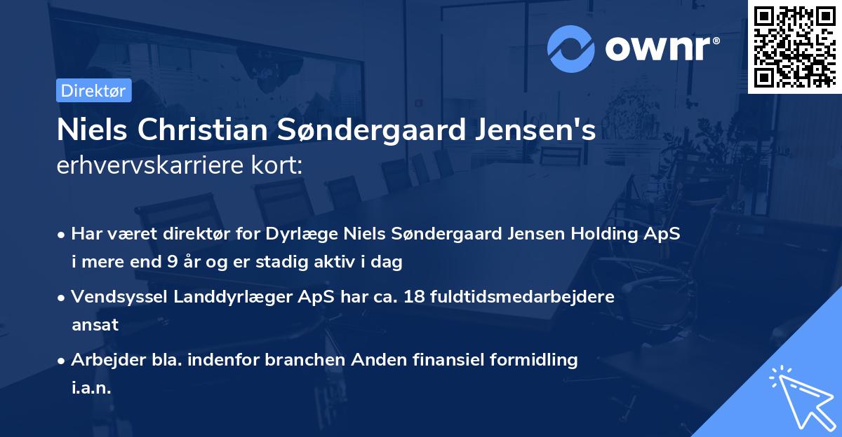 Niels Christian Søndergaard Jensen's erhvervskarriere kort