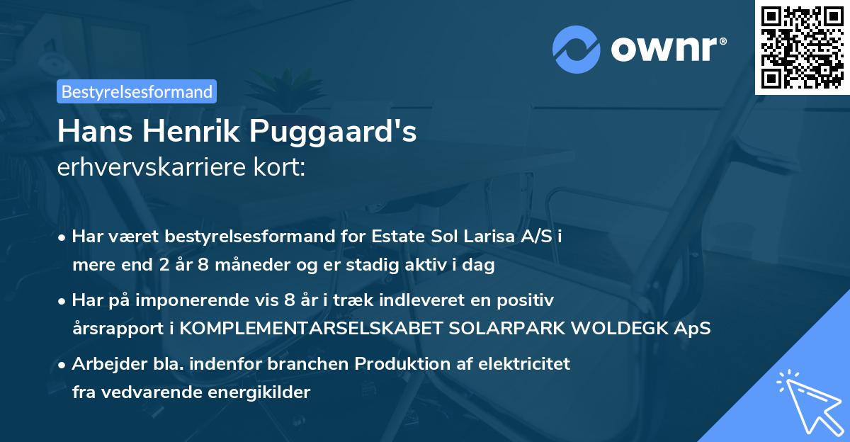 Hans Henrik Puggaard's erhvervskarriere kort