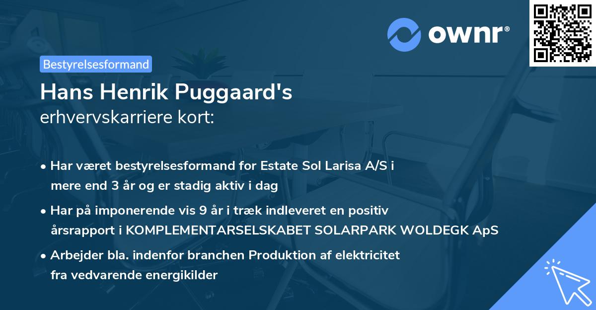 Hans Henrik Puggaard's erhvervskarriere kort