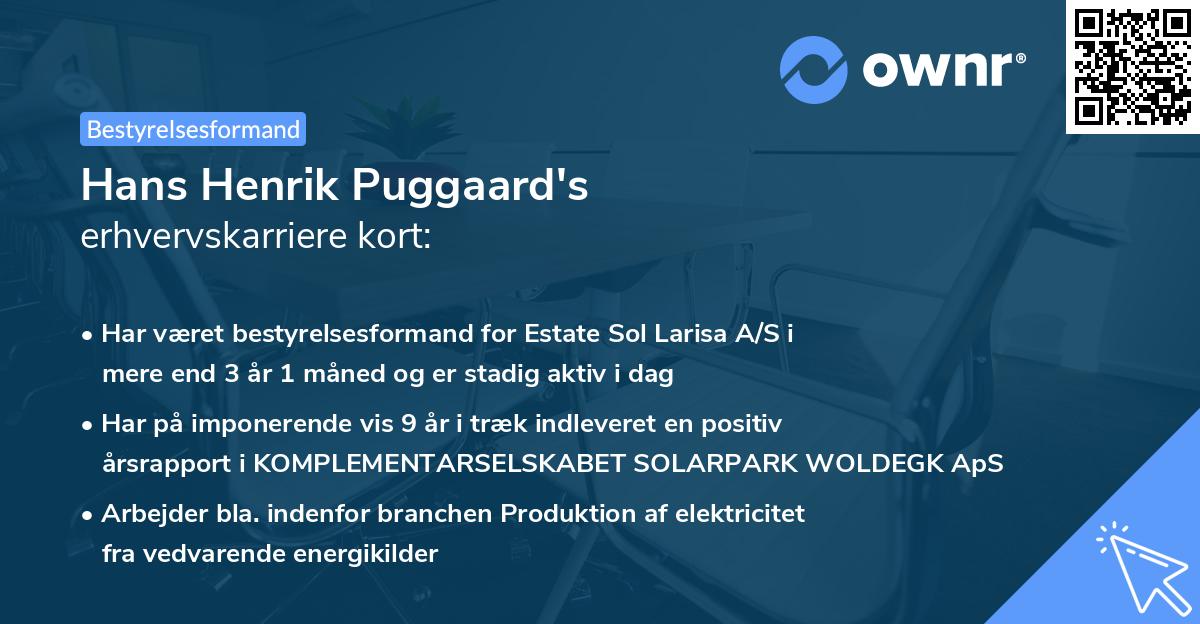 Hans Henrik Puggaard's erhvervskarriere kort