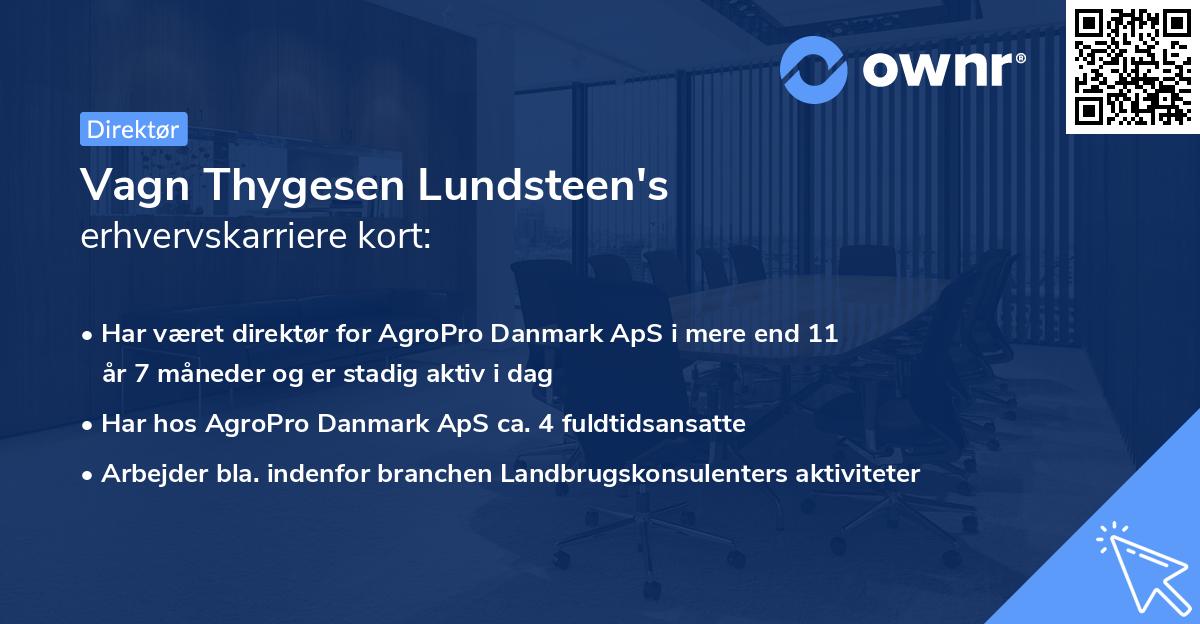 Vagn Thygesen Lundsteen's erhvervskarriere kort