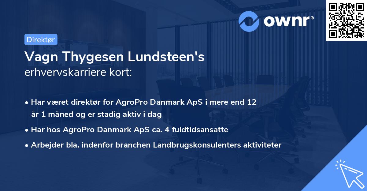 Vagn Thygesen Lundsteen's erhvervskarriere kort