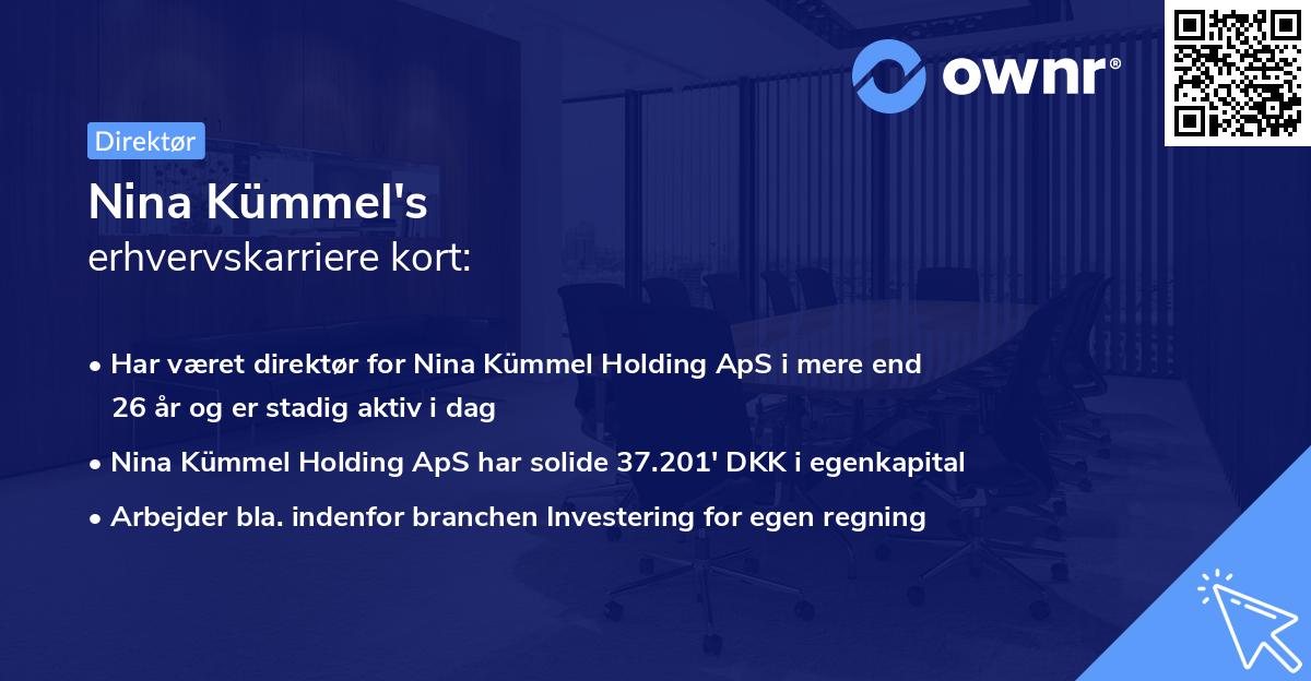 Nina Kümmel's erhvervskarriere kort