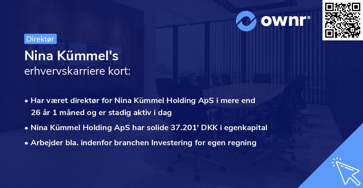 Nina Kümmel's erhvervskarriere kort