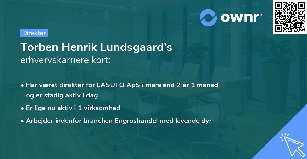 Torben Henrik Lundsgaard's erhvervskarriere kort