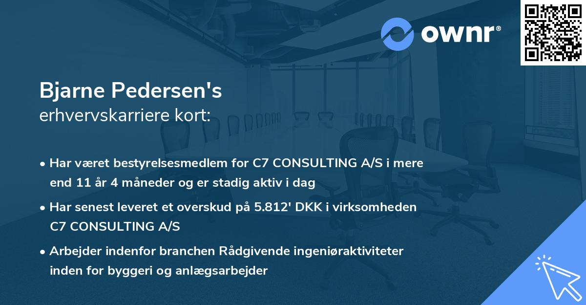 Bjarne Pedersen's erhvervskarriere kort