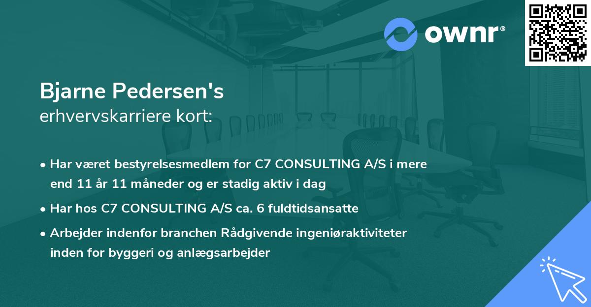 Bjarne Pedersen's erhvervskarriere kort