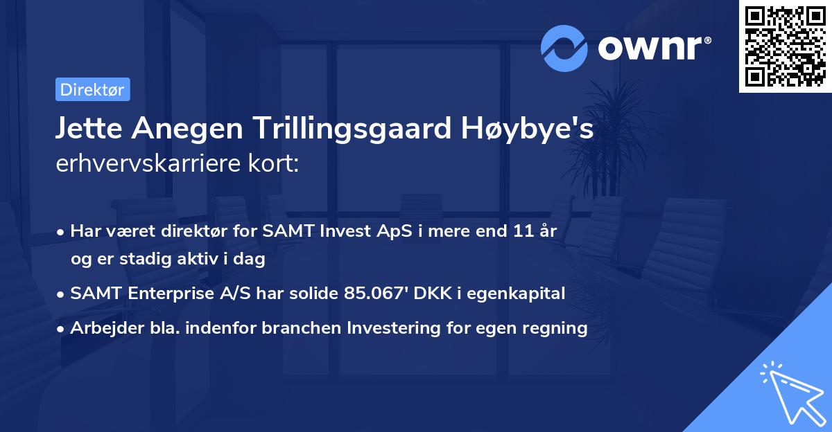 Jette Anegen Trillingsgaard Høybye's erhvervskarriere kort