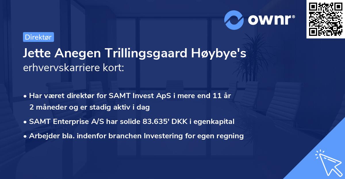Jette Anegen Trillingsgaard Høybye's erhvervskarriere kort