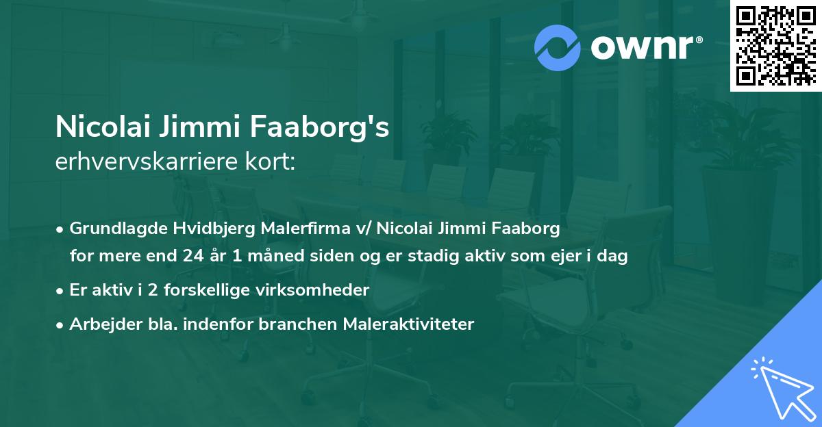 Nicolai Jimmi Faaborg's erhvervskarriere kort