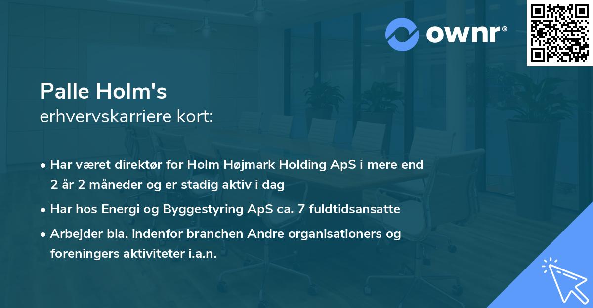 Palle Holm's erhvervskarriere kort