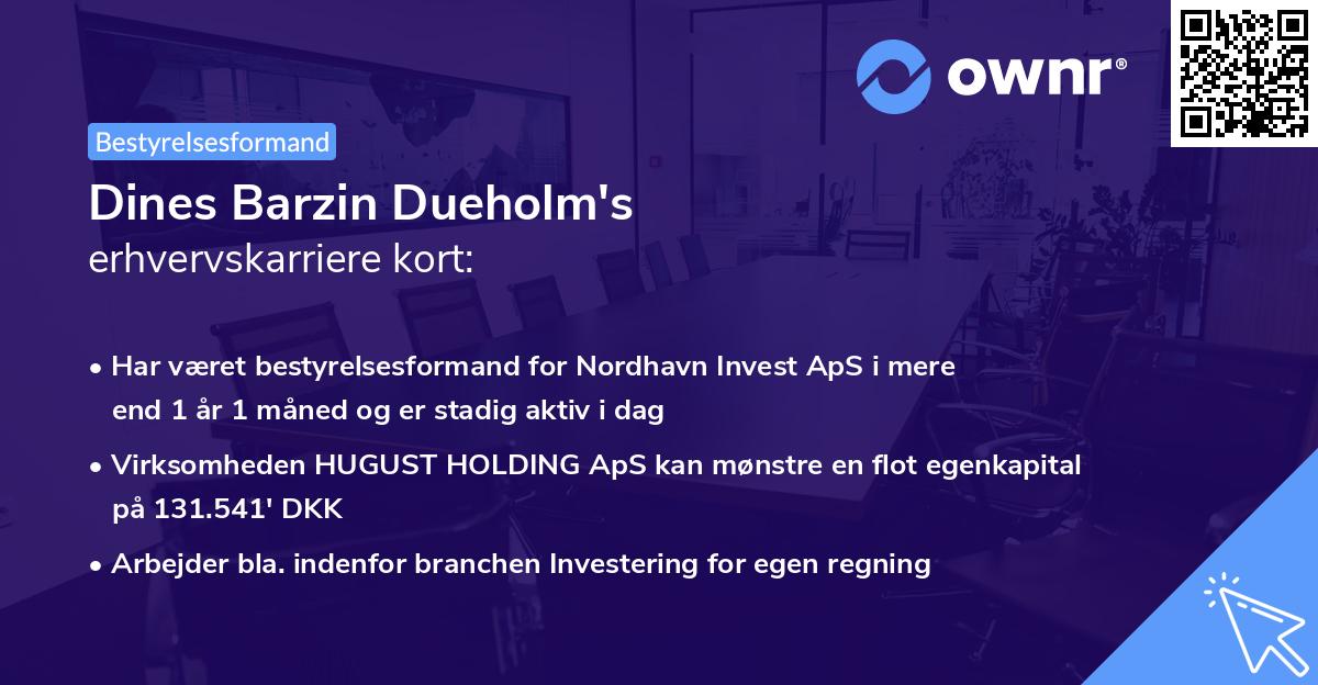 Dines Barzin Dueholm's erhvervskarriere kort