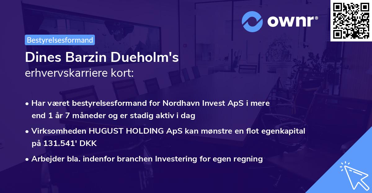 Dines Barzin Dueholm's erhvervskarriere kort