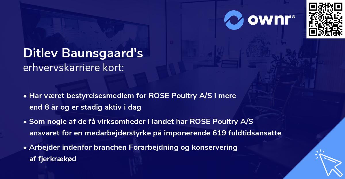 Ditlev Baunsgaard's erhvervskarriere kort