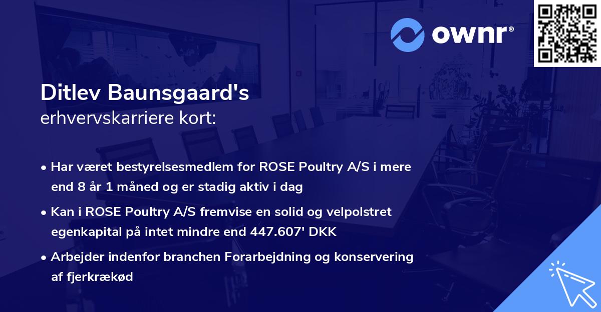 Ditlev Baunsgaard's erhvervskarriere kort