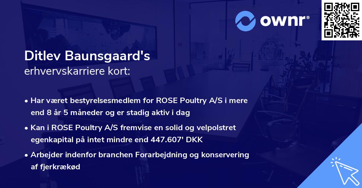 Ditlev Baunsgaard's erhvervskarriere kort