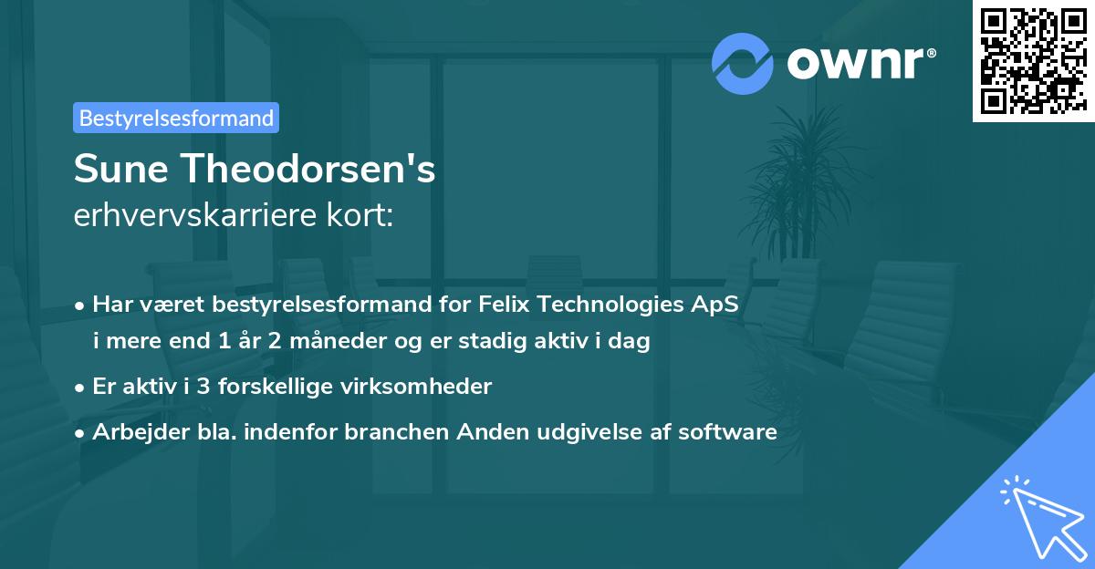 Sune Theodorsen's erhvervskarriere kort