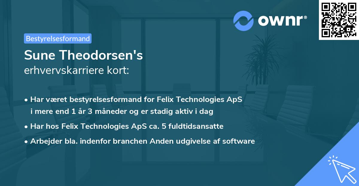 Sune Theodorsen's erhvervskarriere kort