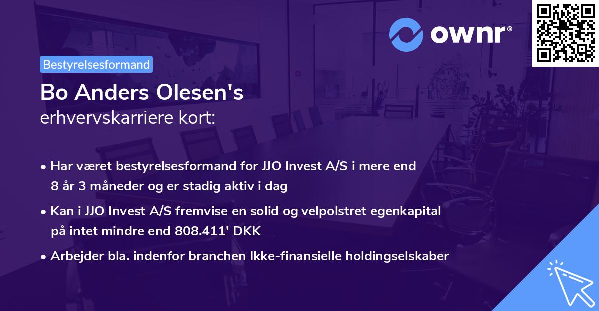Bo Anders Olesen's erhvervskarriere kort