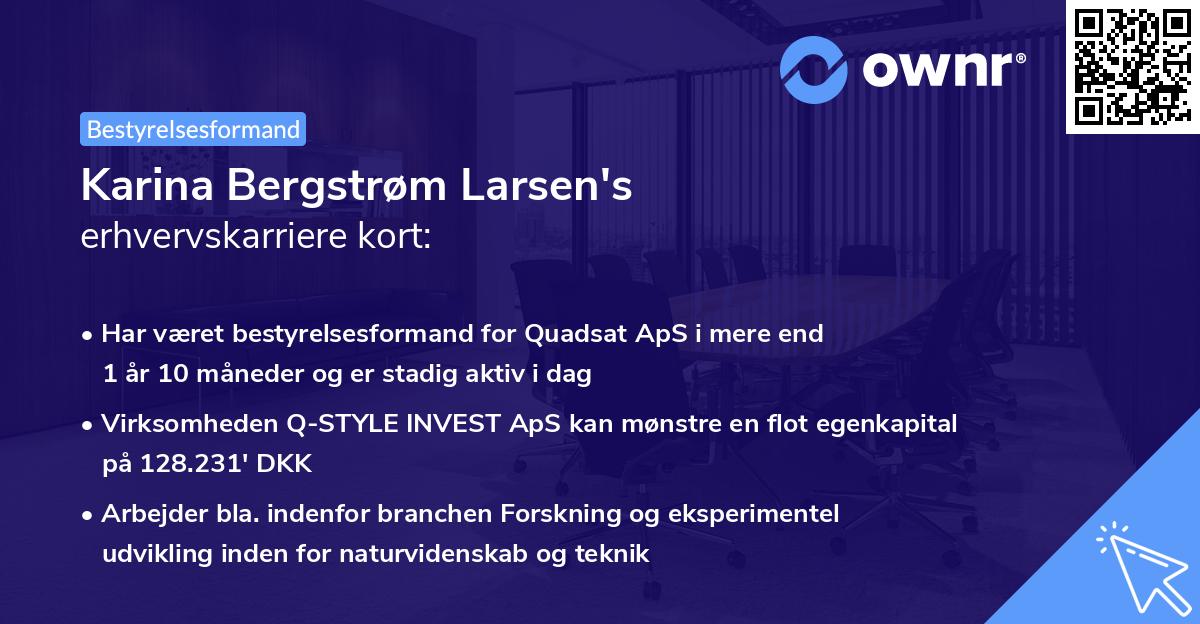 Karina Bergstrøm Larsen's erhvervskarriere kort