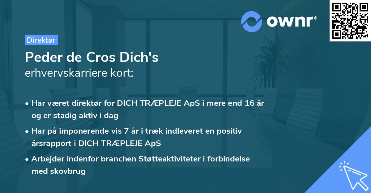 Peder de Cros Dich's erhvervskarriere kort