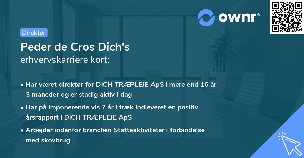 Peder de Cros Dich's erhvervskarriere kort