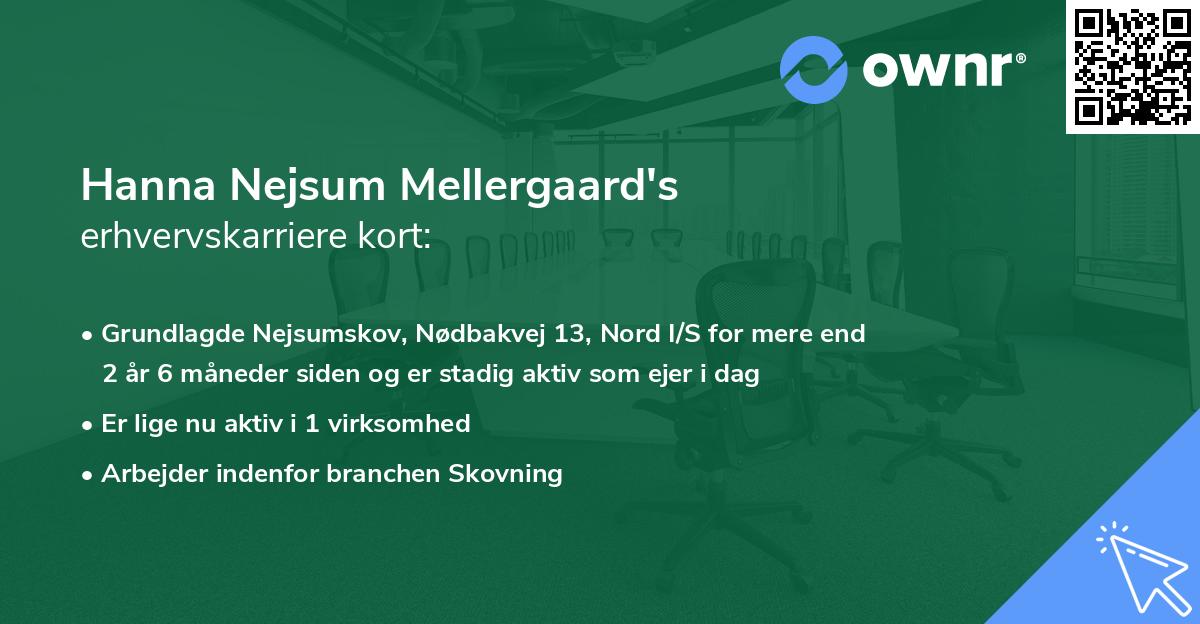 Hanna Nejsum Mellergaard's erhvervskarriere kort