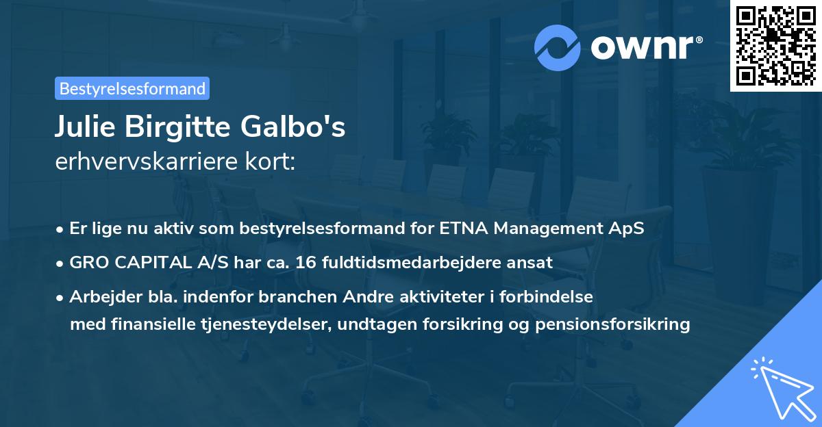 Julie Birgitte Galbo's erhvervskarriere kort