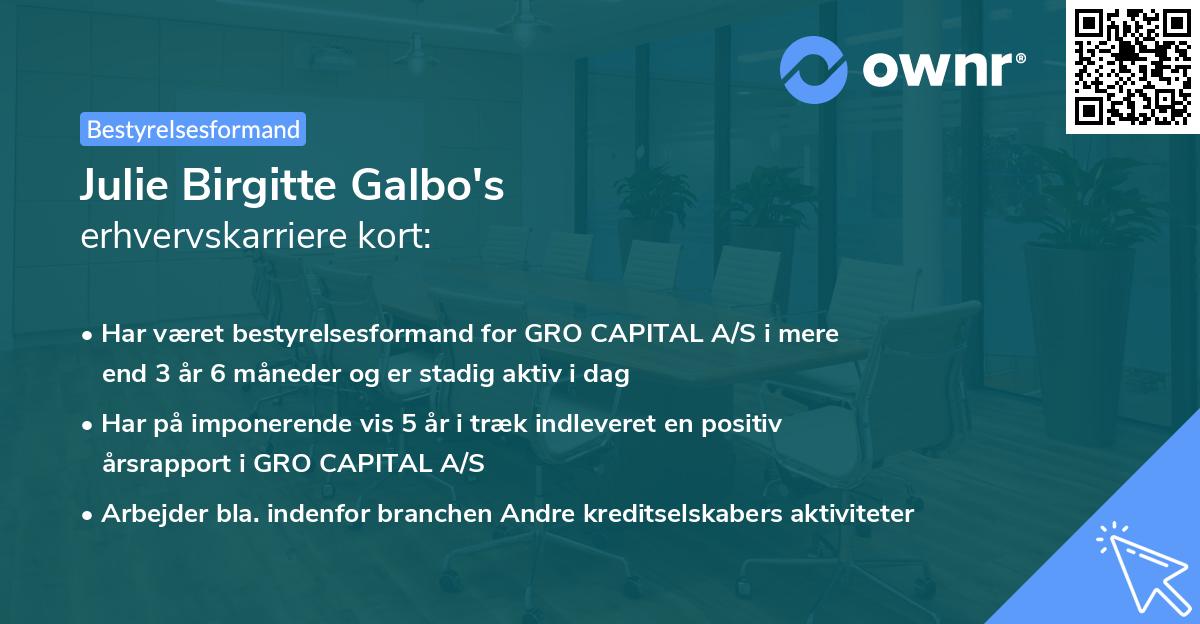 Julie Birgitte Galbo's erhvervskarriere kort