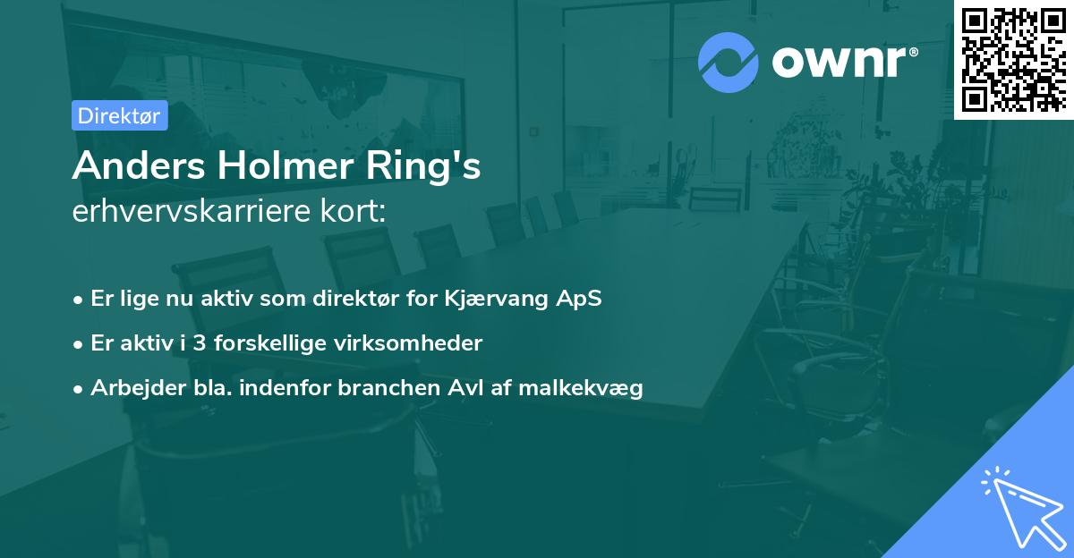 Anders Holmer Ring's erhvervskarriere kort