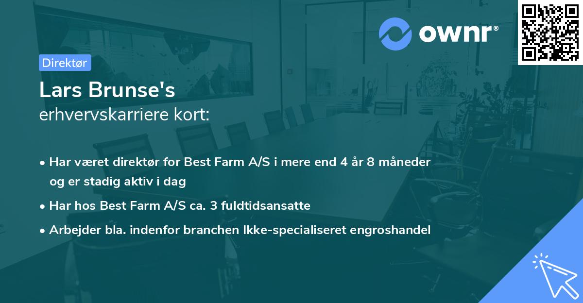 Lars Brunse's erhvervskarriere kort