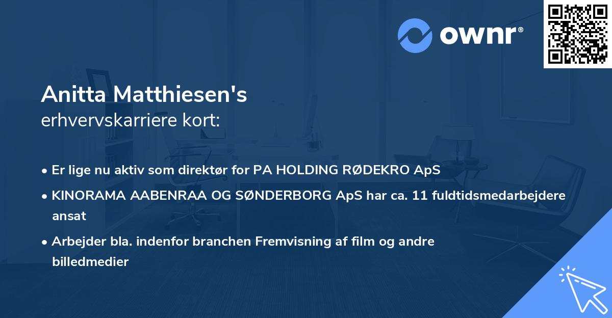 Anitta Matthiesen's erhvervskarriere kort