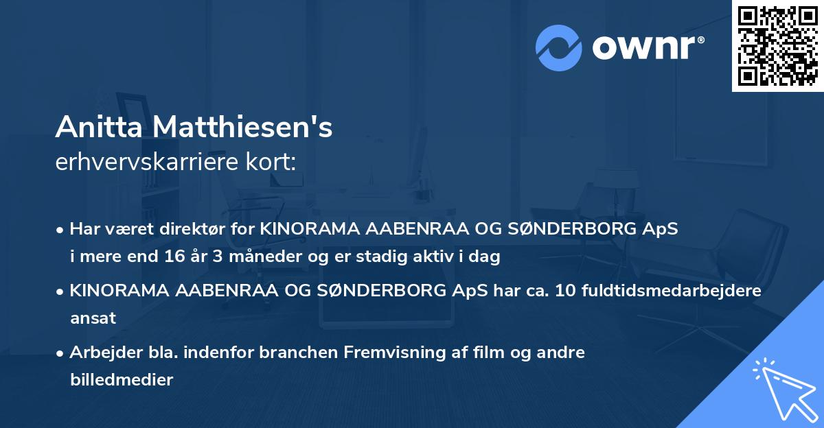 Anitta Matthiesen's erhvervskarriere kort
