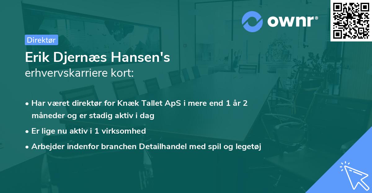 Erik Djernæs Hansen's erhvervskarriere kort