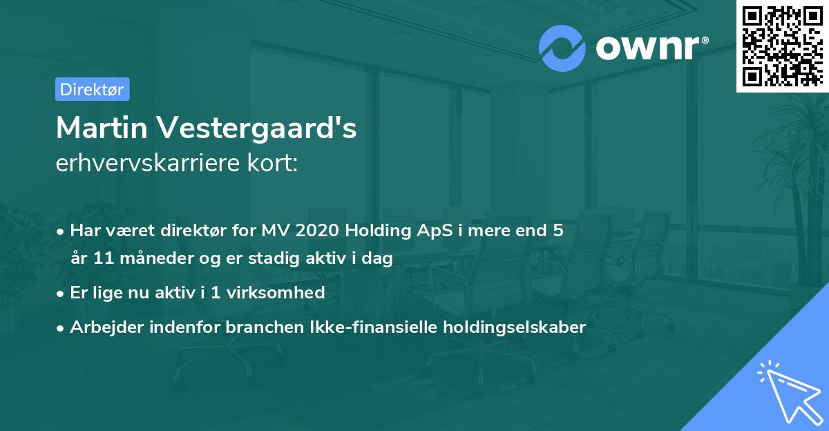 Martin Vestergaard's erhvervskarriere kort