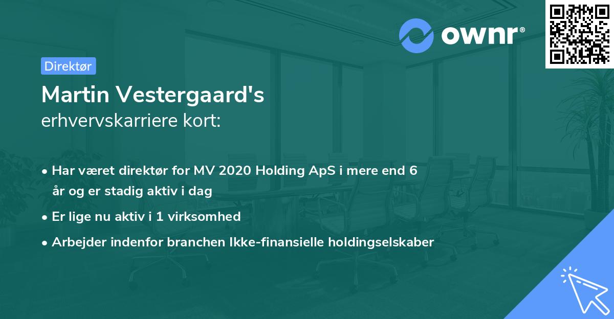 Martin Vestergaard's erhvervskarriere kort